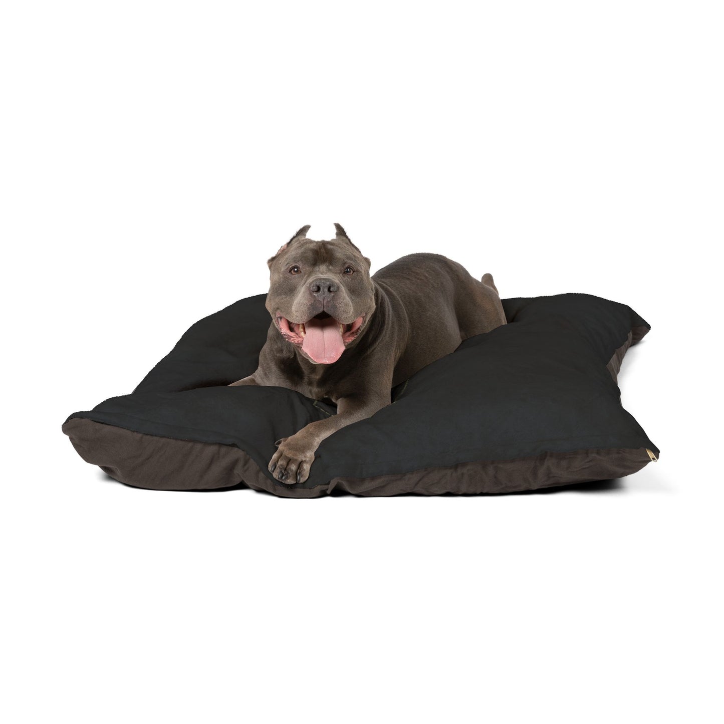 JMADA DJM Pet Bed
