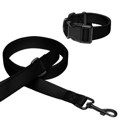 JMADA DJM Pet Collar & Leash